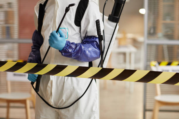 Professional Sewage Cleanup technician working in Niles, IL