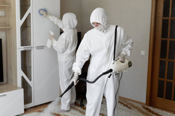 24/7 Emergency Sewage Cleanup experts in Niles, IL